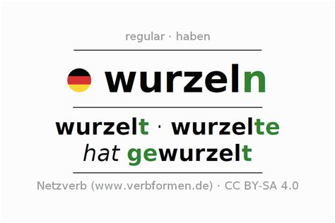 wurzel gusel|Wurzel translation in English 